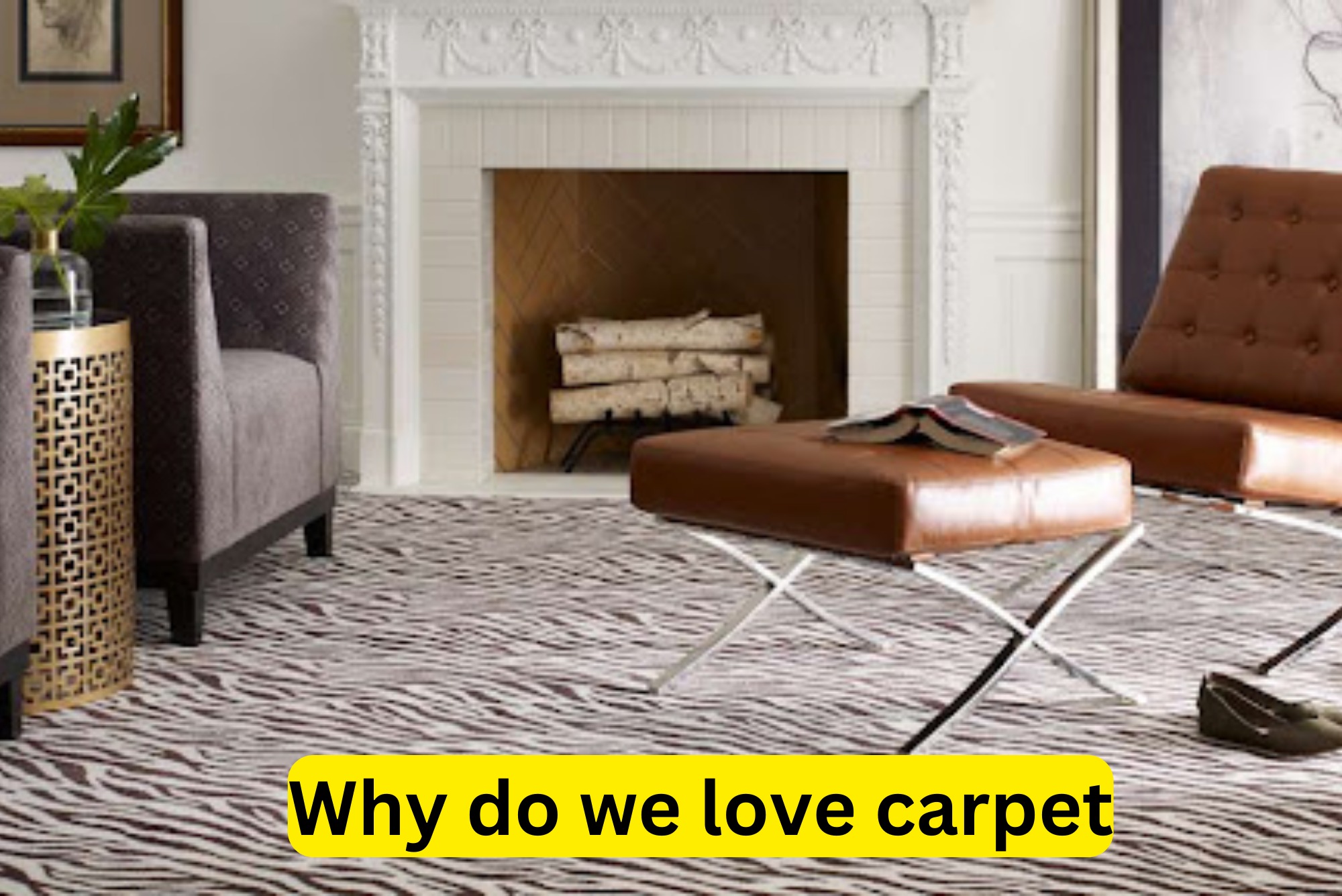 Why do we love carpet
