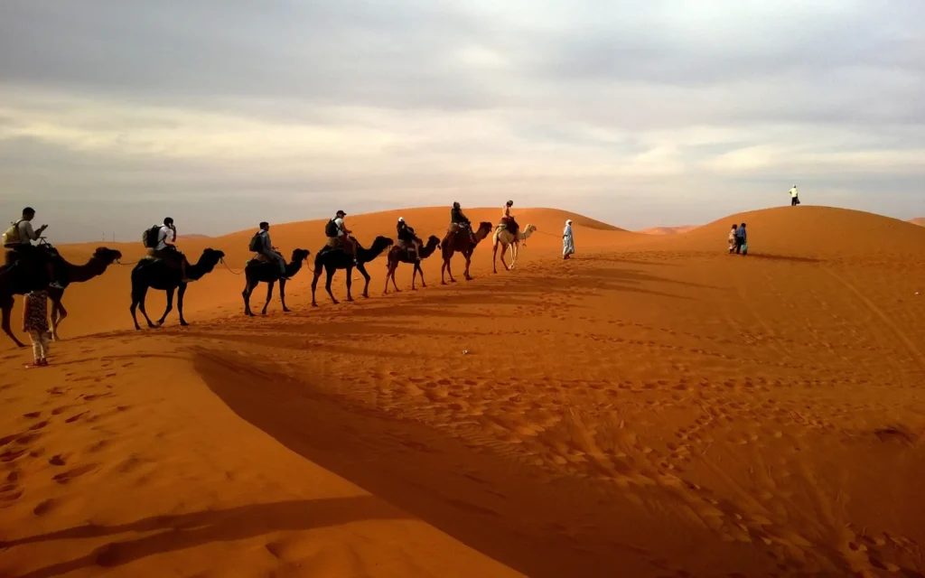what is included in desert safari dubai