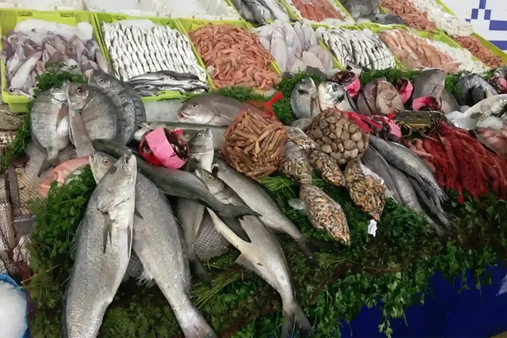 Comparison of Tuna Types in UAE Market Best Quality Options