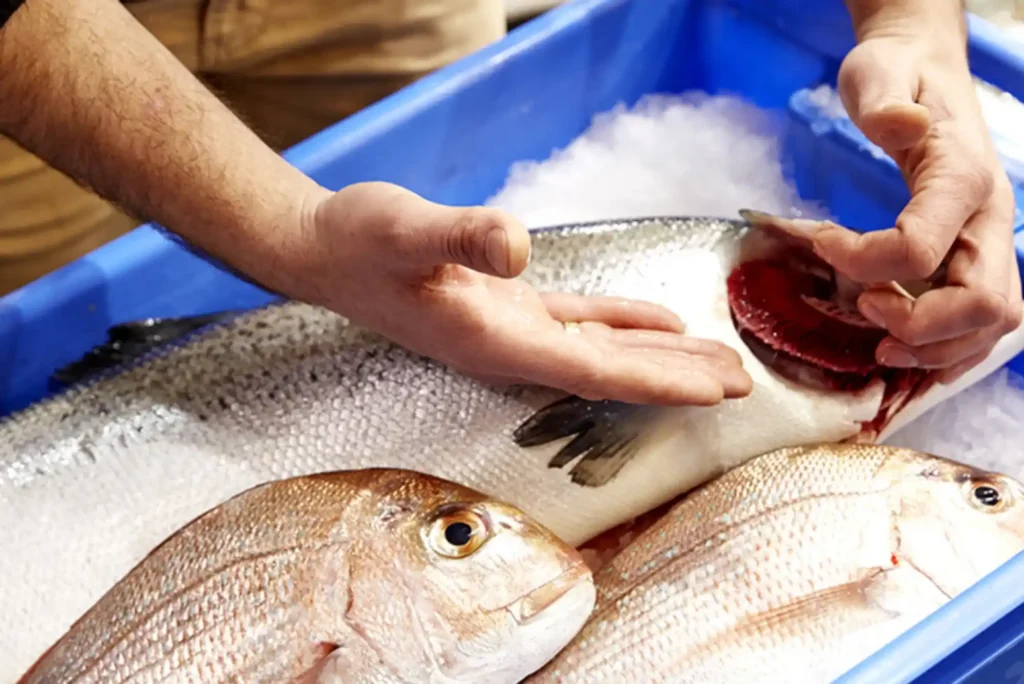 Quick Tips for Buying Sultan Fish Dubai – Fresh & Trusted Choice