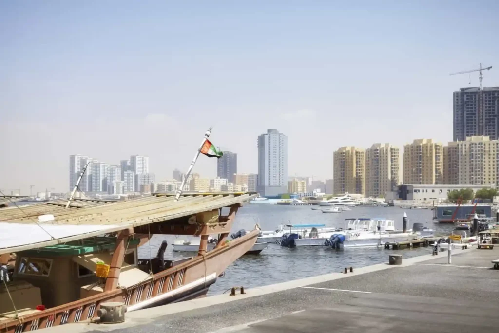 What Makes Dubai a Top Spot for Ajman Fish Market Lovers