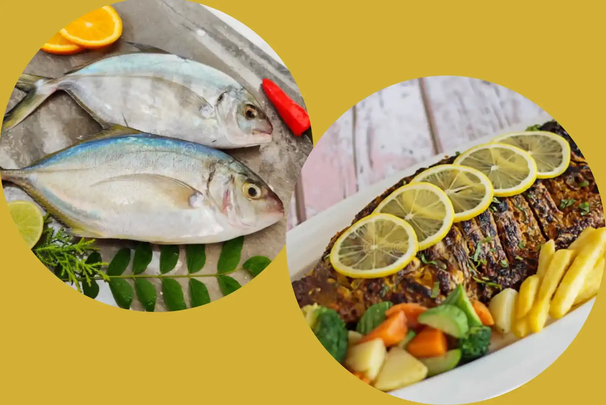 Easy ways to enjoy hamour fish benefits UAE
