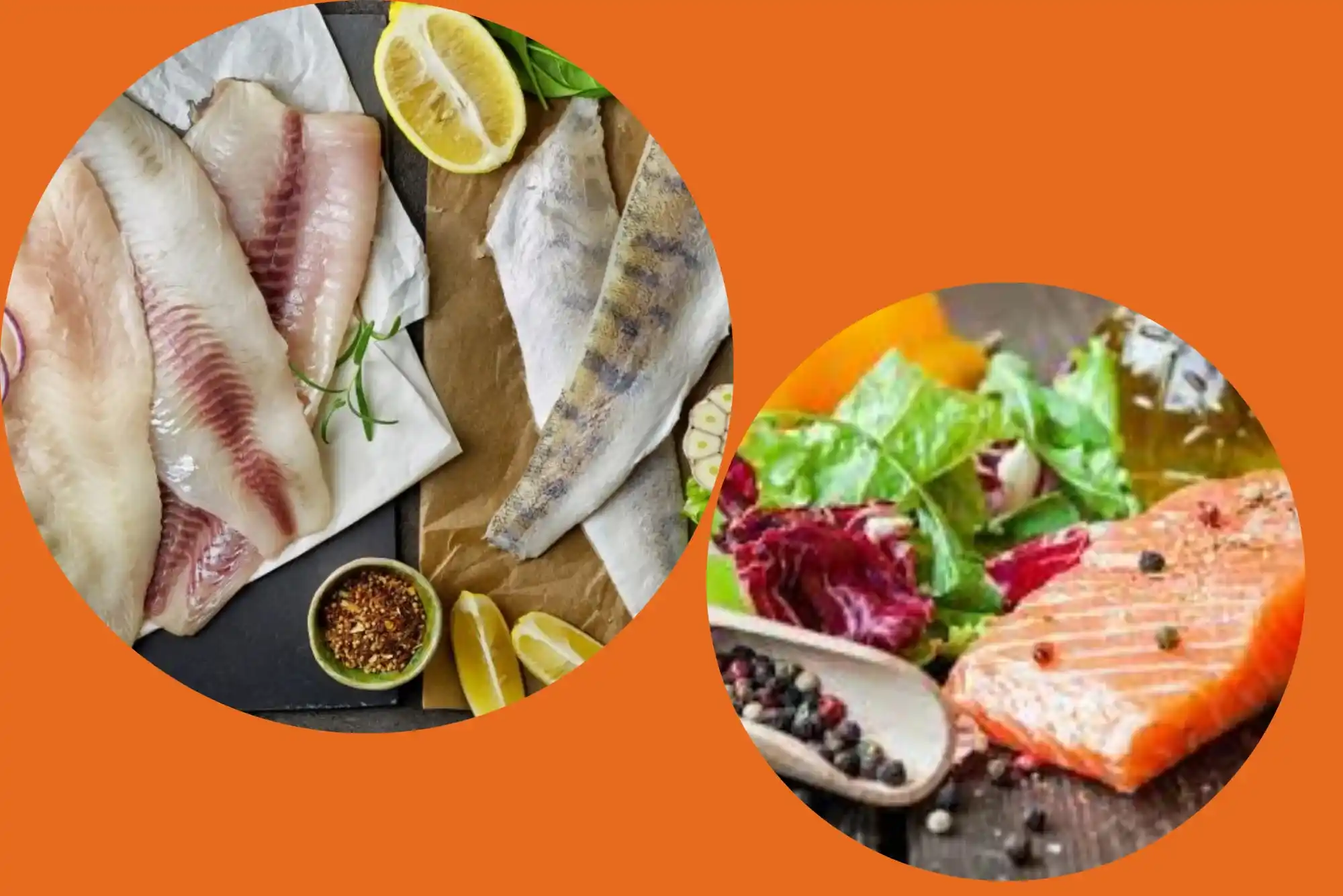 Fastest way to cook hamour fish benefits UAE