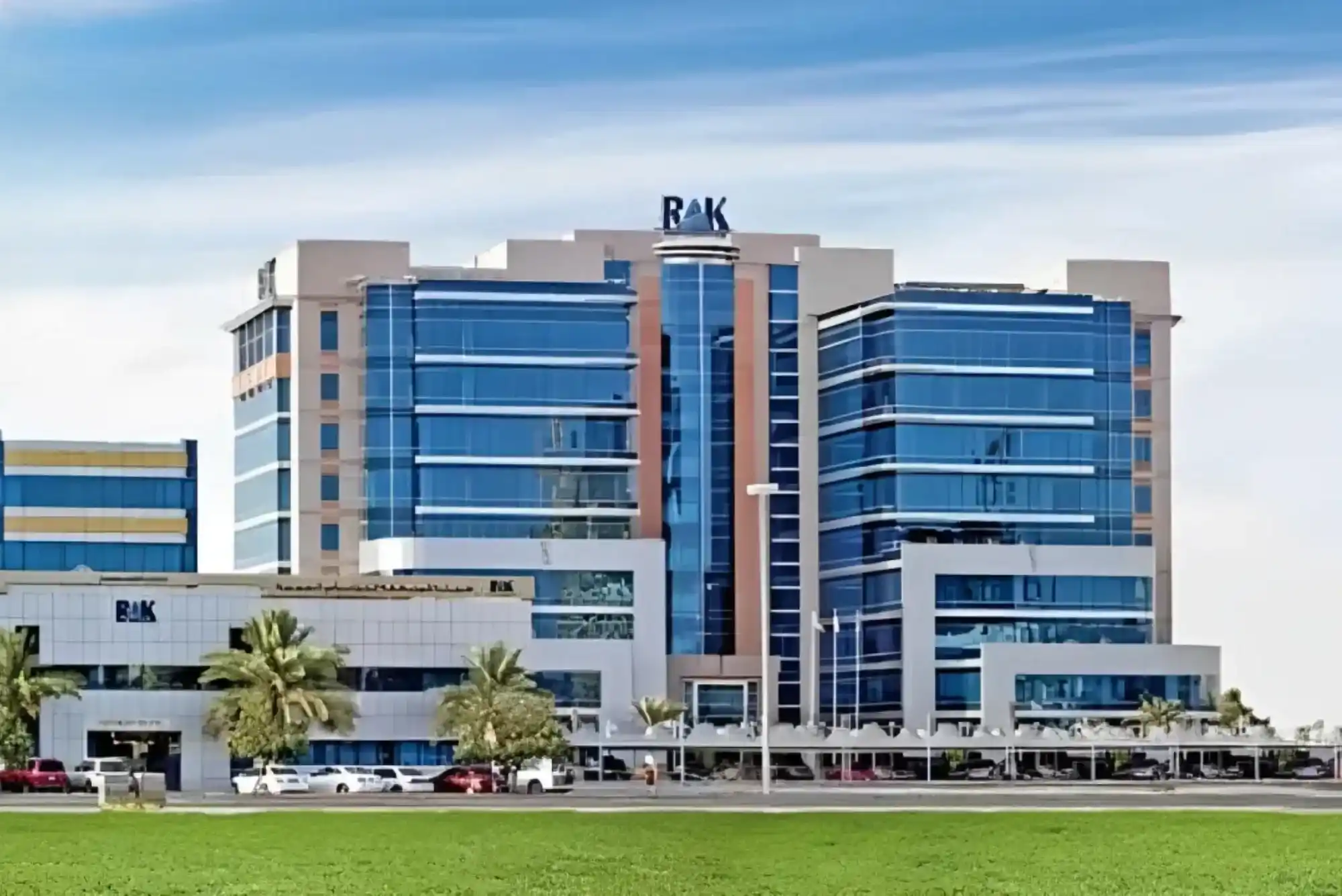 RAK Free Zone License