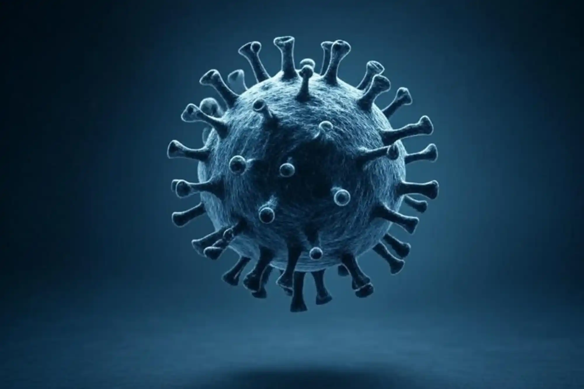 We face a virus that still adapts Covid-19